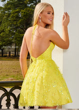 Load image into Gallery viewer, Rachel Allan Party Dress 40243