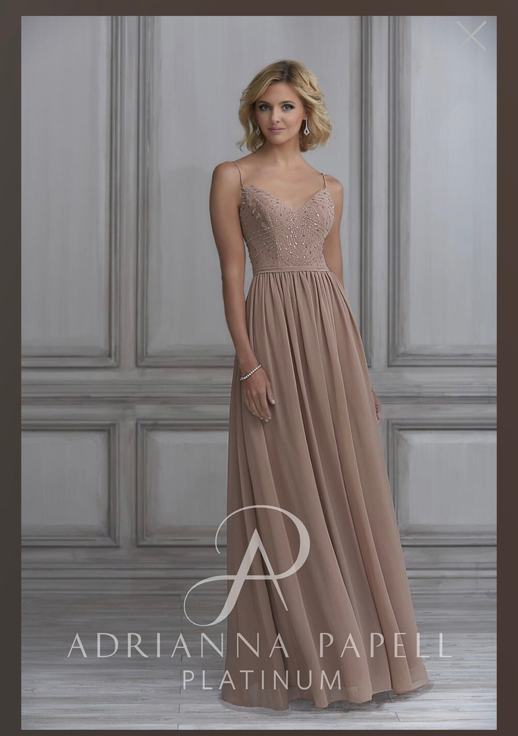 Adrianna Papell Gown 40120