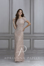 Load image into Gallery viewer, Adrianna Papell Gown 40104
